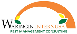 WARINGIN INTERNUSA WARINGIN INTERNUSA